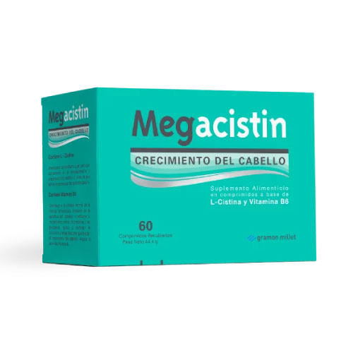 mega03